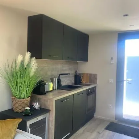 A Lombre Du Magnolia Appartement LʼIsle-sur-la-Sorgue